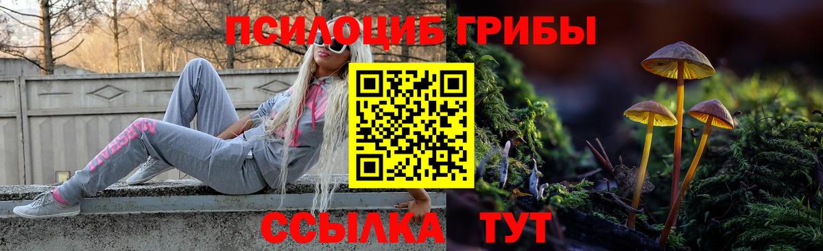 Псилоцибиновые грибы прущие грибы Тверь